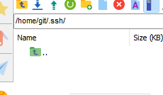 本来的公钥文件 authorized_keys 没了